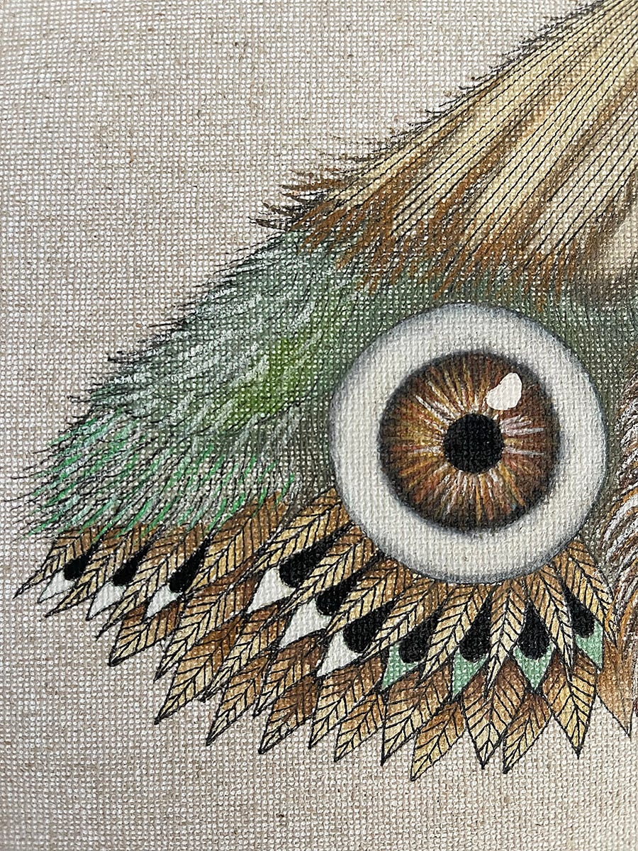 detalle de un cuadro con el ala de una mariposa