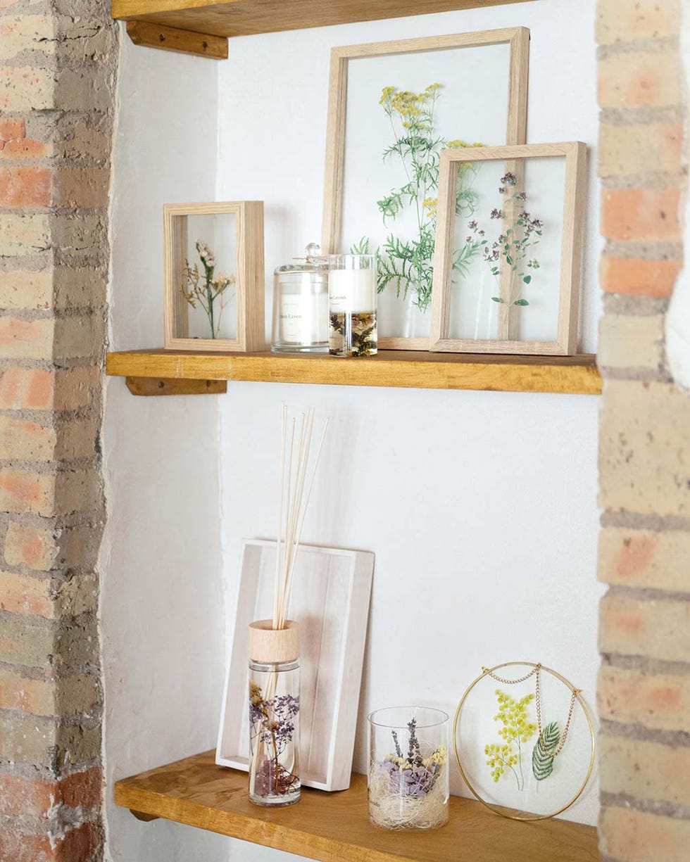 Cuadros con plantas