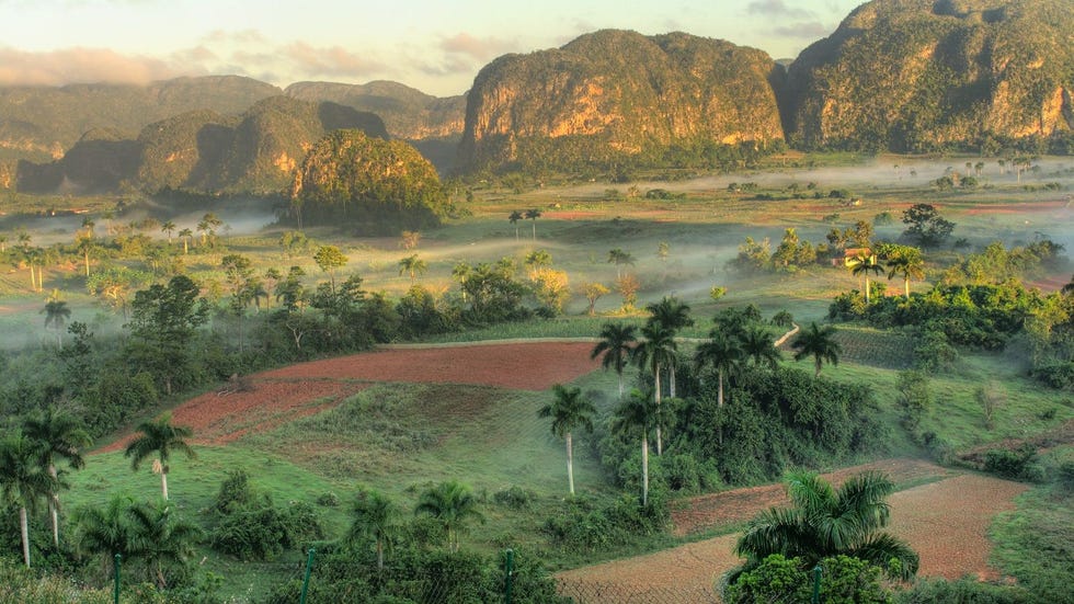 De Viales vallei is het thuis van een groot deel van de Cubaanse tabaksplantages en zeker een bezoek waard