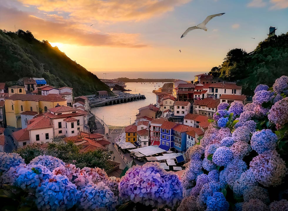 vista general del pueblo de cudillero con hortensias