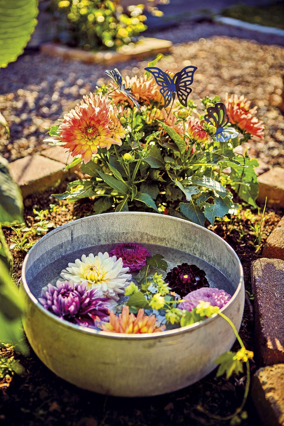 cuenco con agua y flores en el jardín