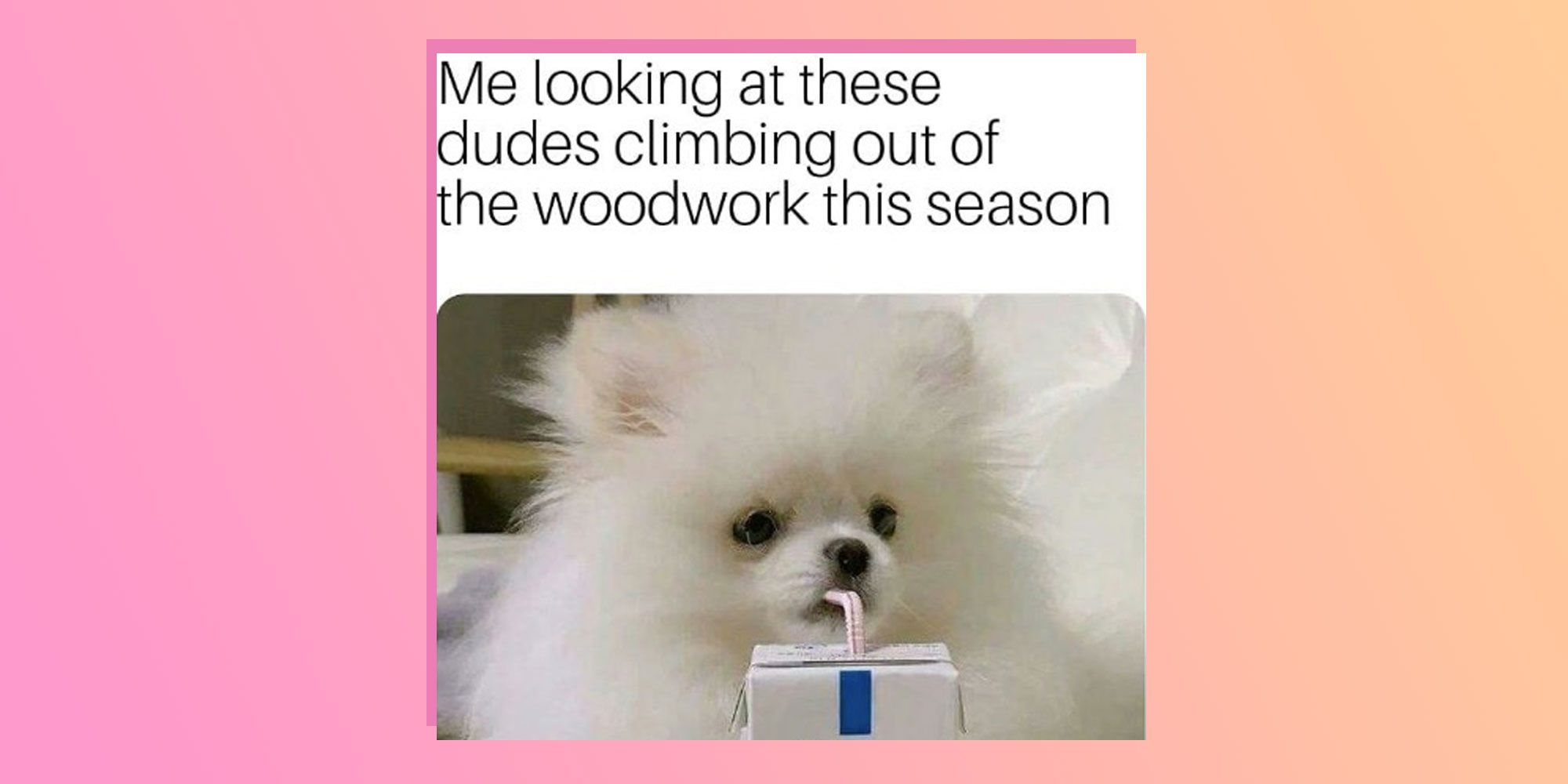 Cuffing season memes that are almost too relatable