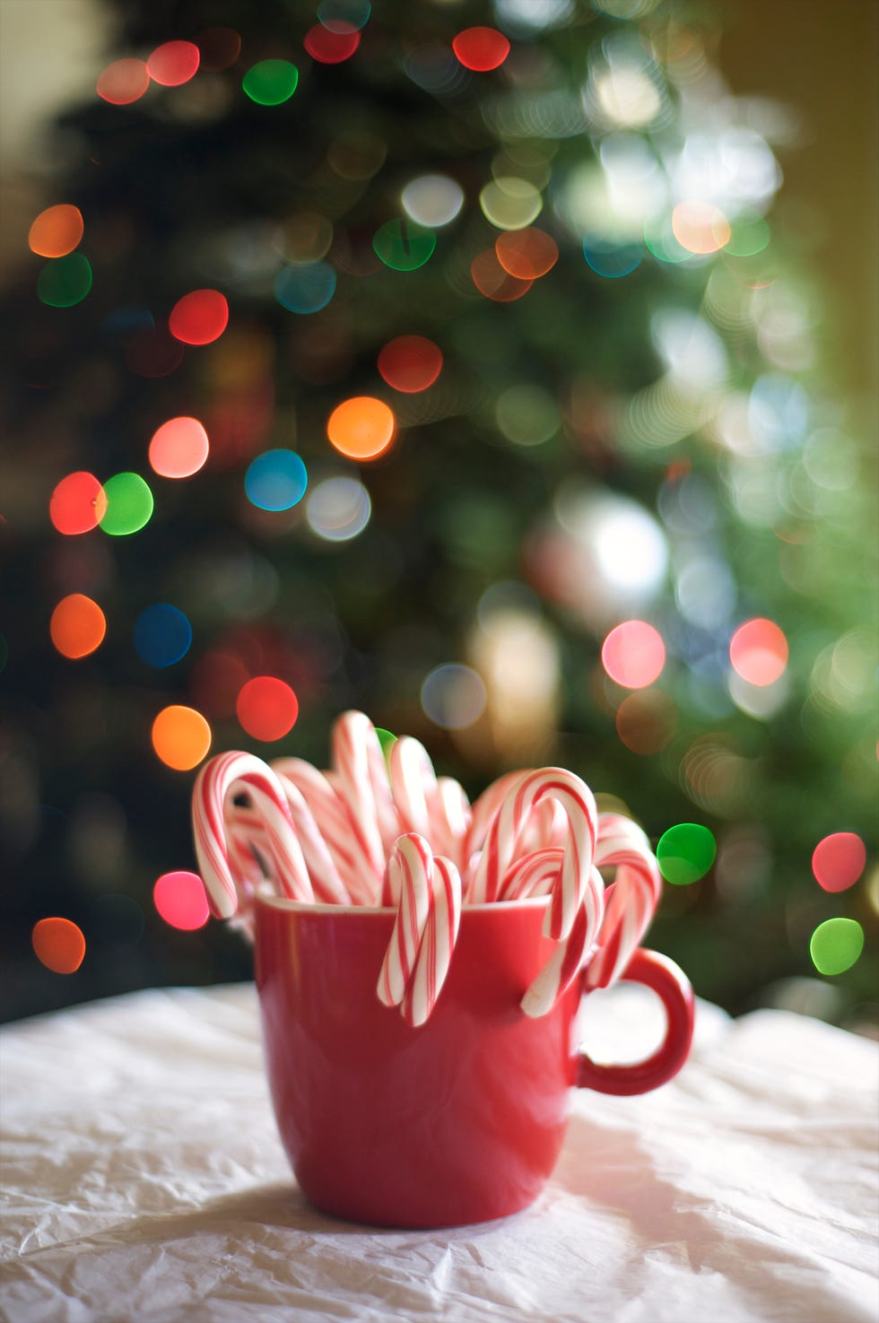 30 Best Christmas Party Game Ideas Your Guests Will Love