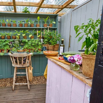 the potting shed, cuprinol shed of the year 2022