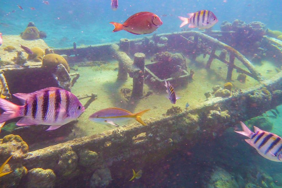 world-oceans-day