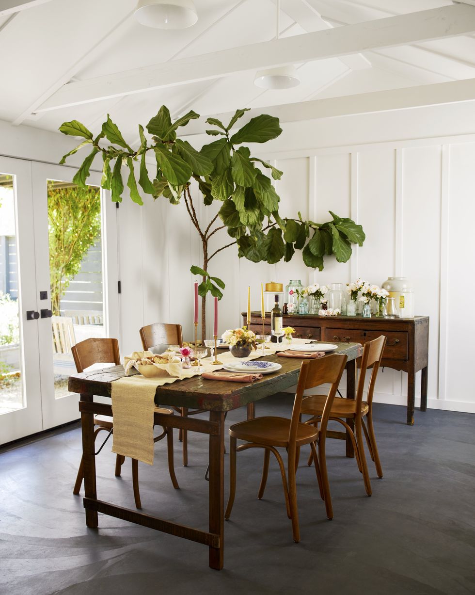 dining room with board and batten walls, vintage wood furniture, and a large fig tree