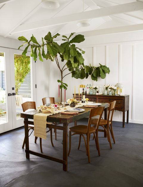 dining room with board and batten walls, vintage wood furniture, and a large fig tree