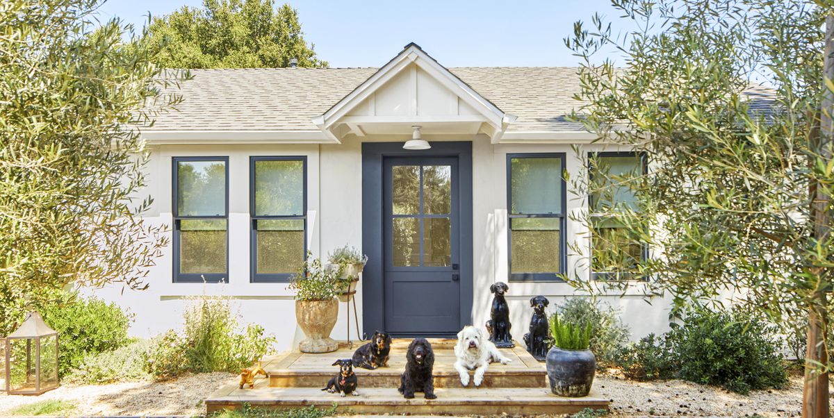 dogs in front of small white cottage with dark gray door