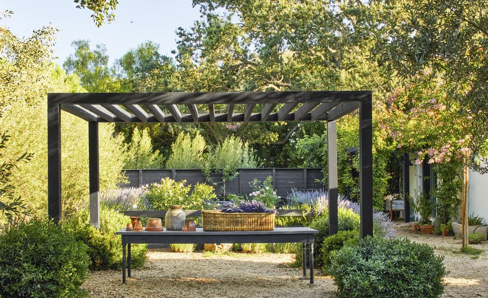 black wood pergola in lavender garden with long table underneath
