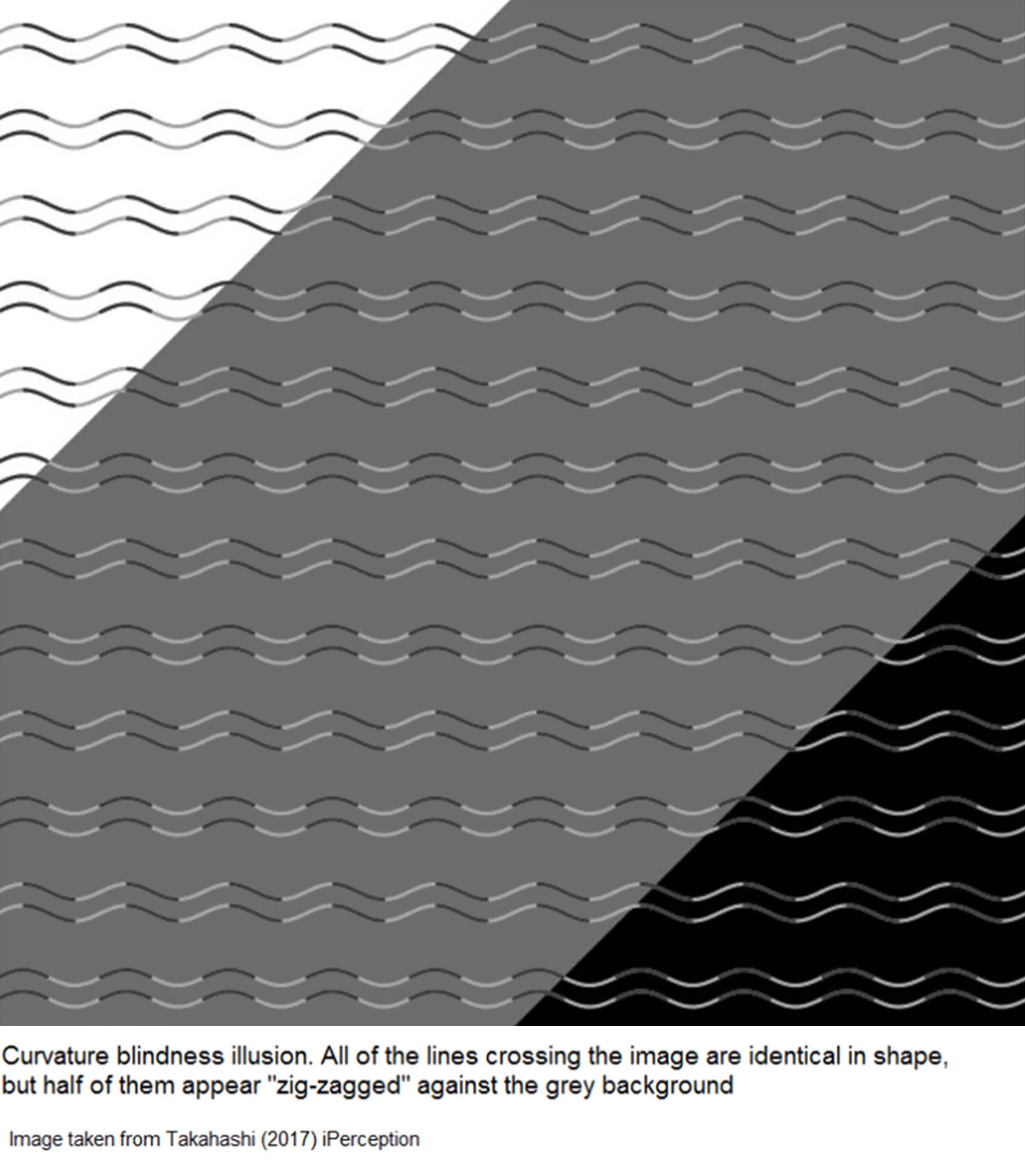 curvature-blindness-illusion-