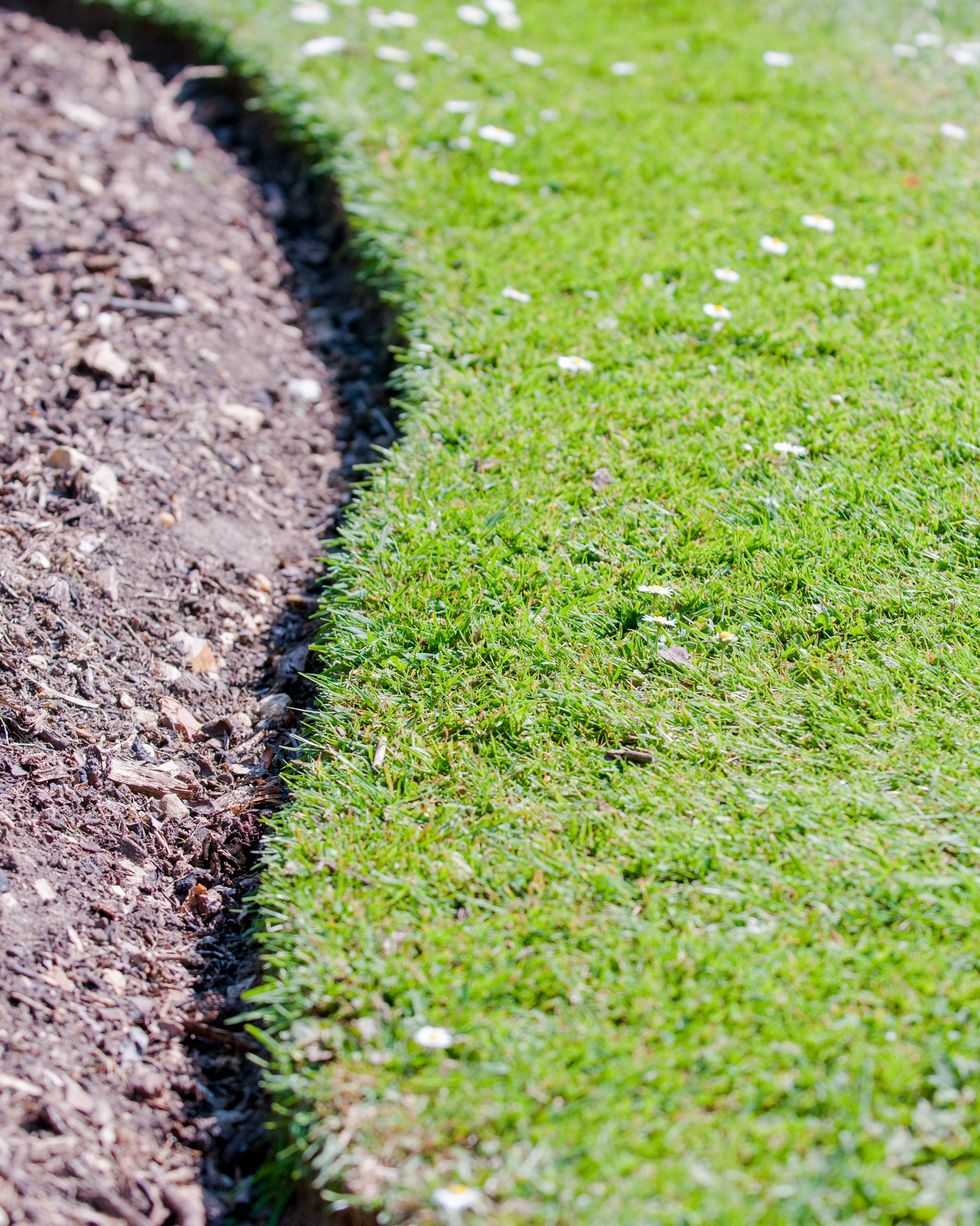 curved grass border of an empty flower bed