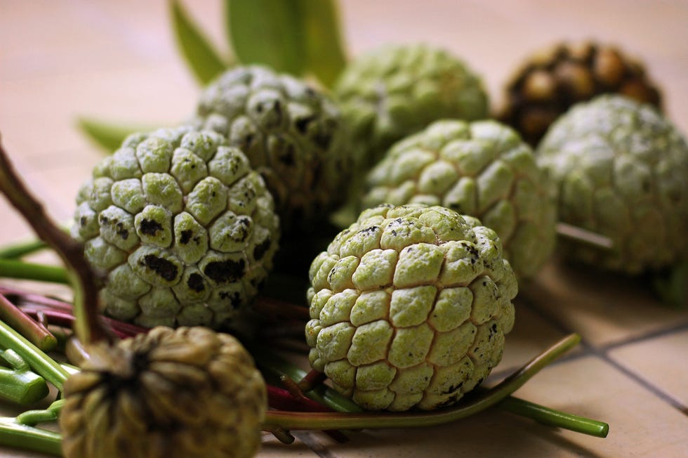 custard apples