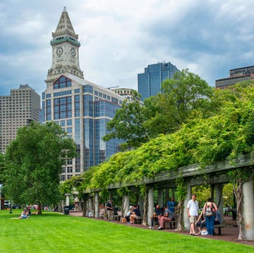 Boston boston