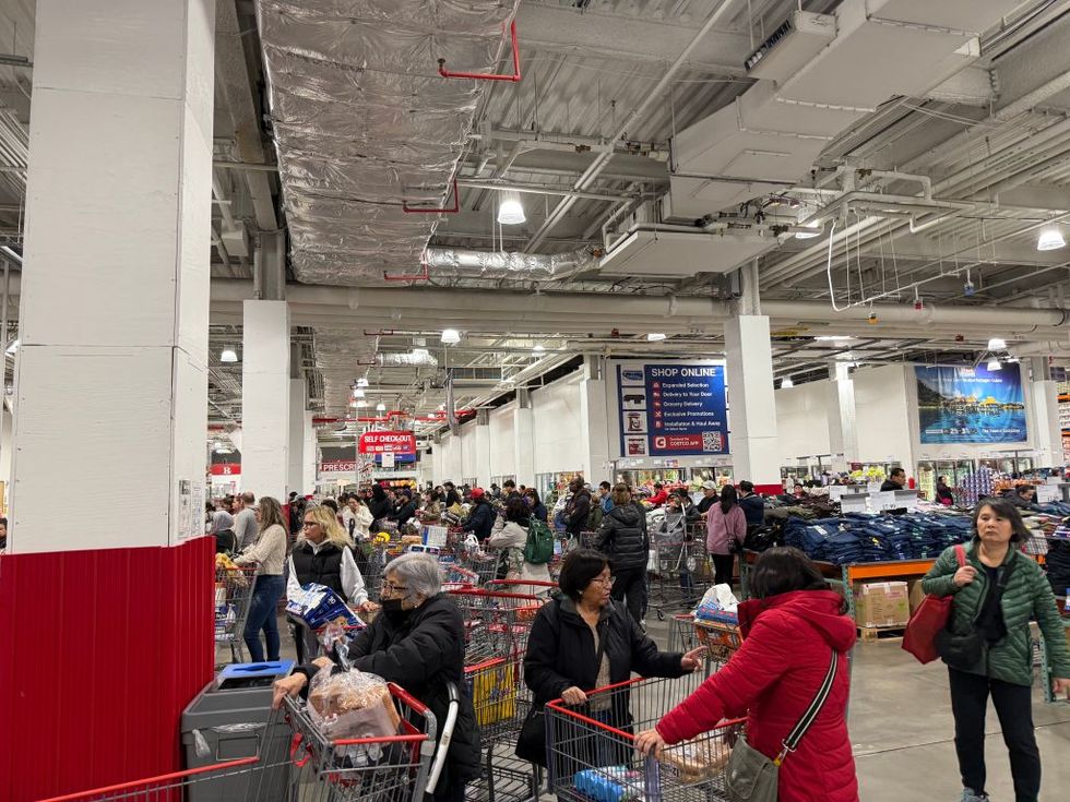 customers lined up at checkout counters in very busy costco store, queens, new york
