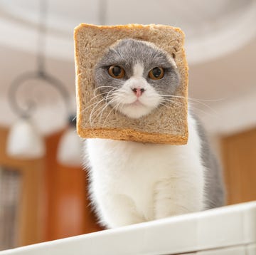 This is an image This is an image