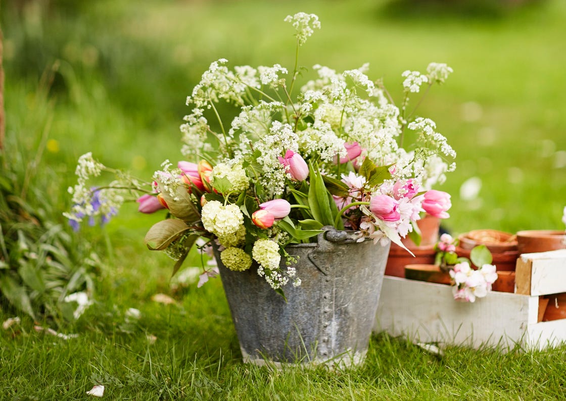 20 Plants Perfect For A Cut Flower Garden Growing Cut Flowers