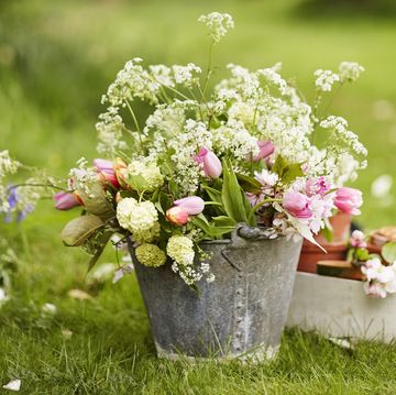 garden in spring informal containers, such as old watering cans, weathered terracotta pots and buckets, look good filled with a mix of cow parsley, blossom and spring flowers picked fresh from the garden