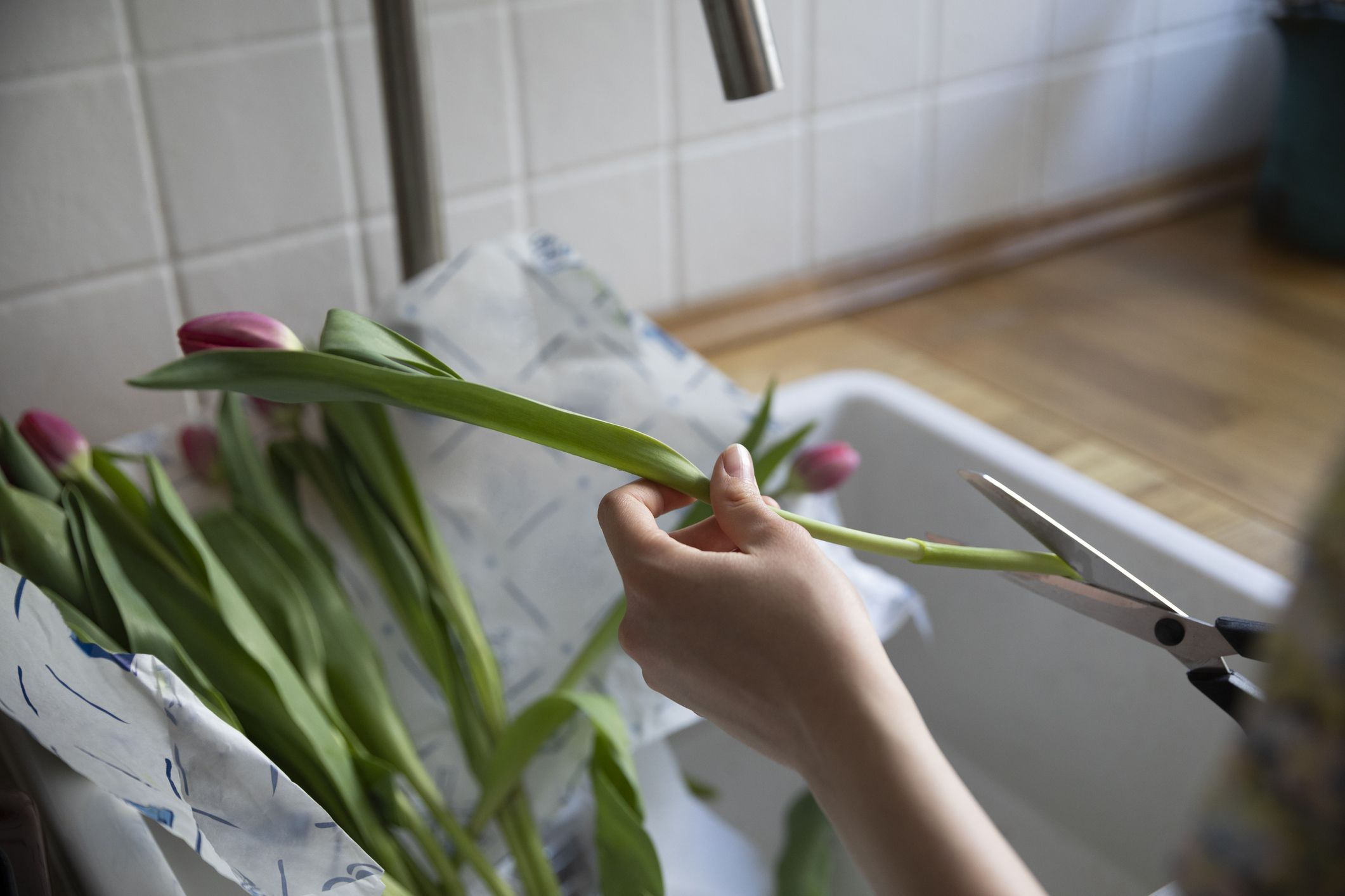 How To Stop Tulips Drooping Tulips In A Vase Tulip Flower   Cut Tulips Stem 1677073723 