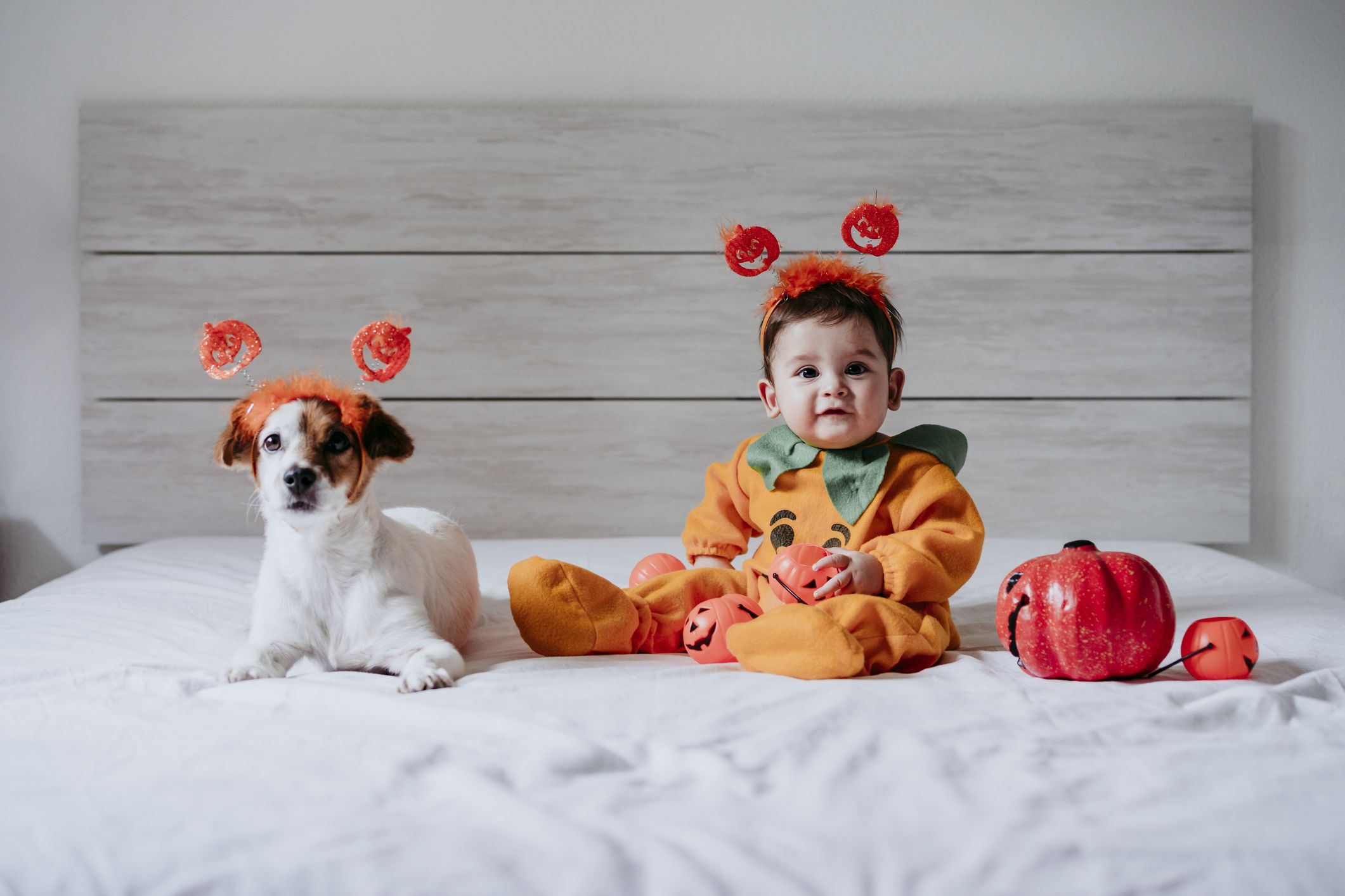 Baby boy dog costume best sale