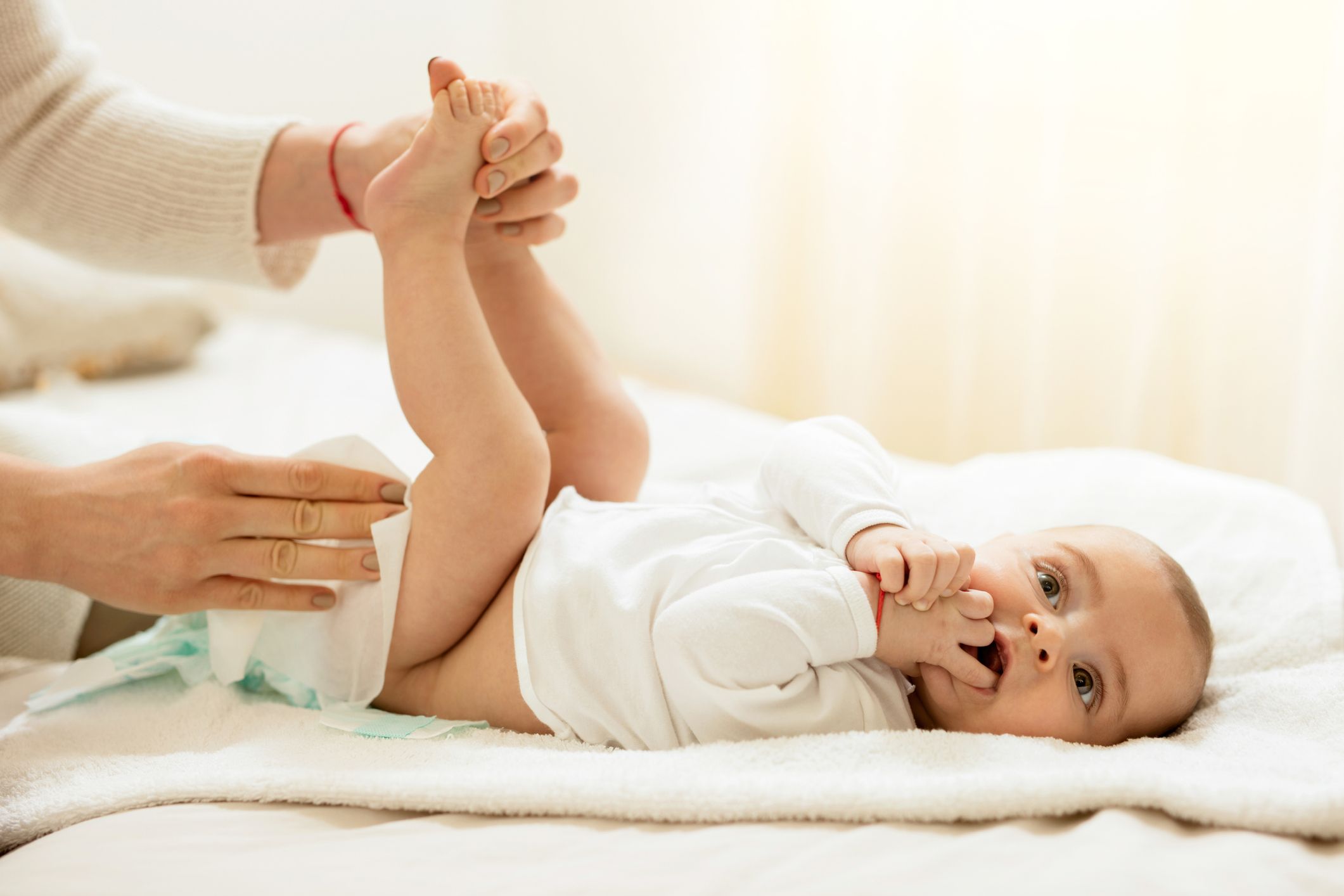  Calentador de toallitas para bebés y dispensador de toallitas  húmedas, innovador calentamiento envolvente, se calienta rápida y  uniformemente, gran capacidad : Bebés