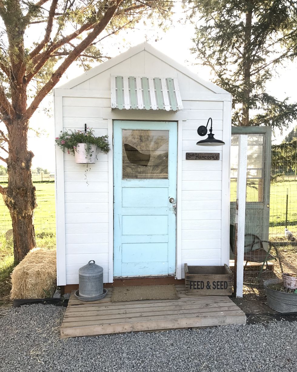 A Cute Farmhouse-Style Chicken Coop With Blue Door