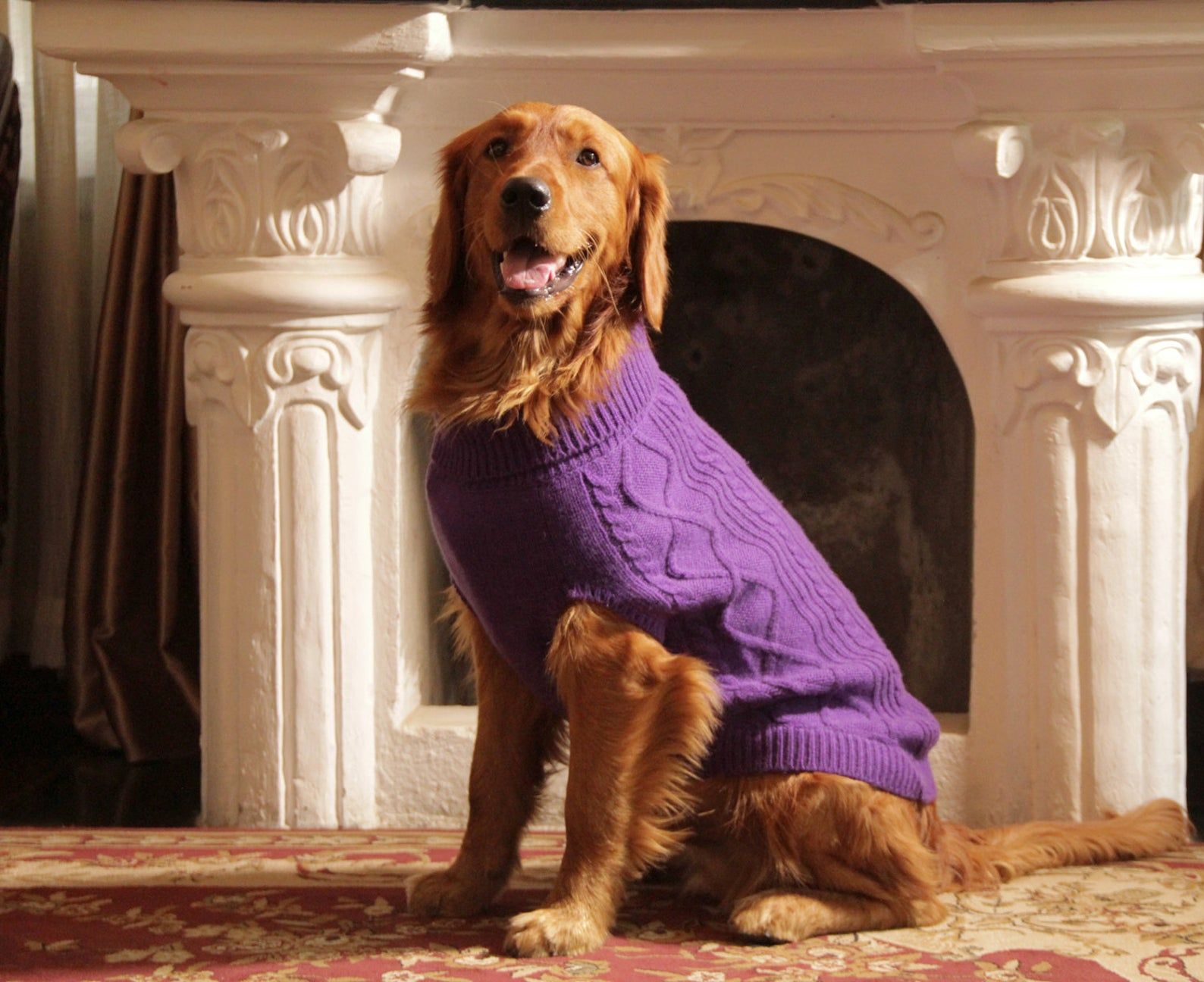 Dog, Coco Cardigan Sweater For Small Dog