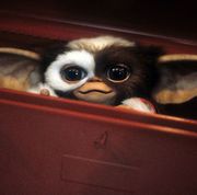 scary movies for kids  gizmo from gremlins