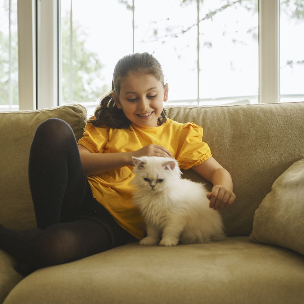 Child's friend cat breeds