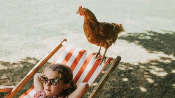 cute little girl wearing sunglasses reclines on a stripey deckchair while a confident red hen perches above her