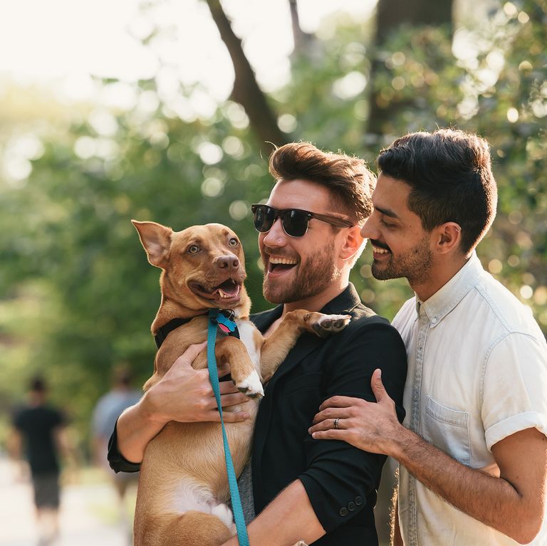 young male couple carrying dog on suburban sidewalk to illustrate a story about cute nicknames for boyfriends
