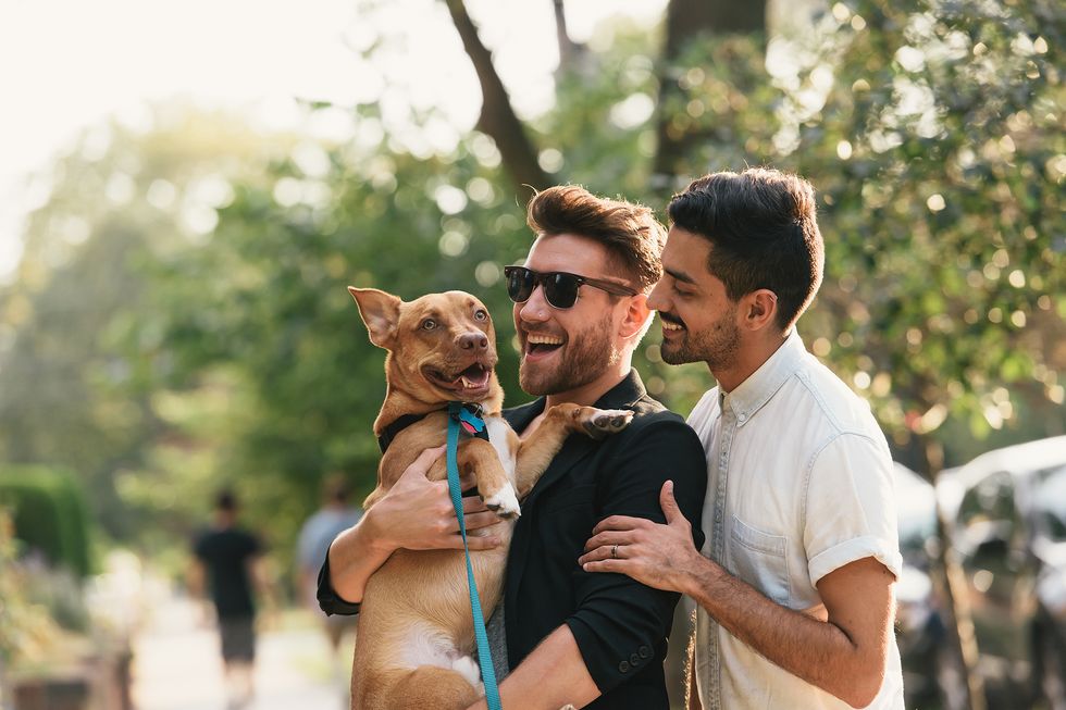 young male couple carrying dog on suburban sidewalk to illustrate a story about cute nicknames for boyfriends