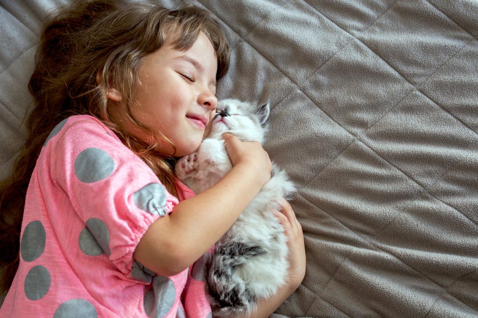 cute cat  young girl holding a cat