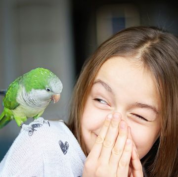 pet bird name ideas cute smiling girl playing with her pet green monk parakeet parrot