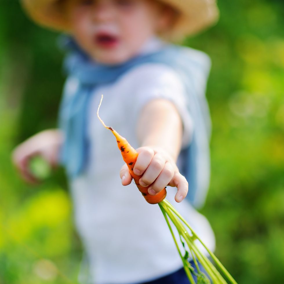 cute toddler boy showing fresh organic carrot