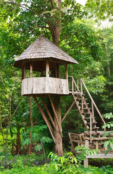 Cute wooden tree house
