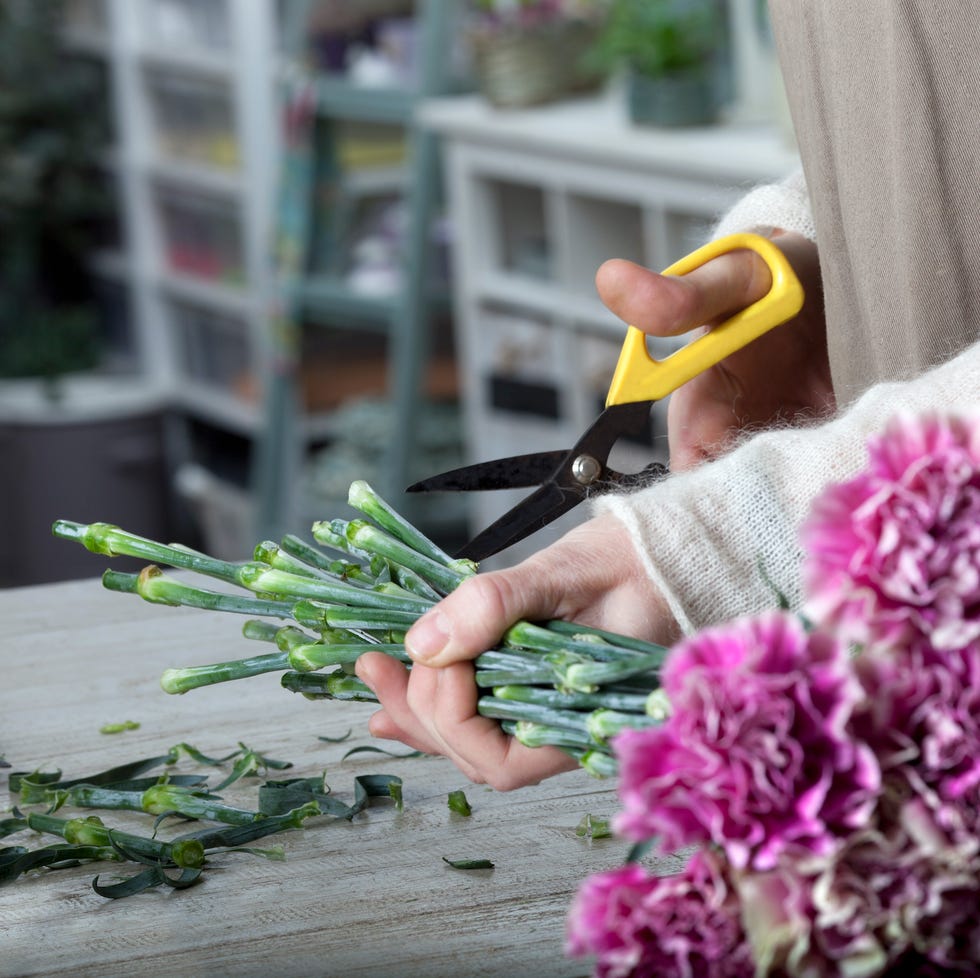 florist cutting flower with pruning shears