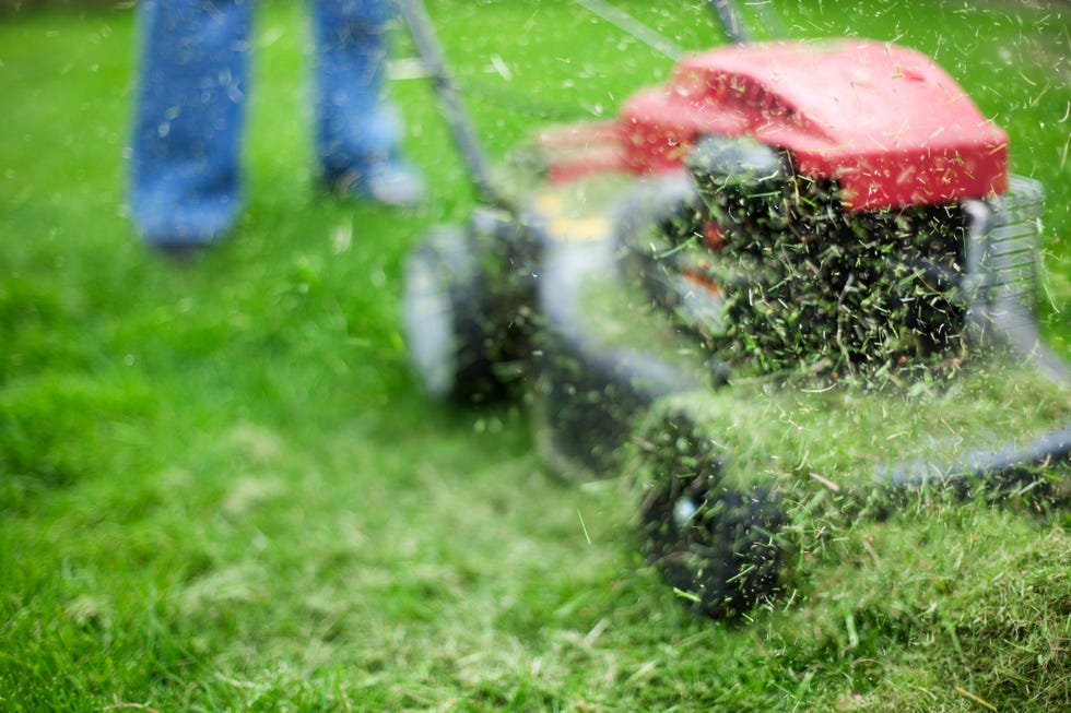 cutting grass