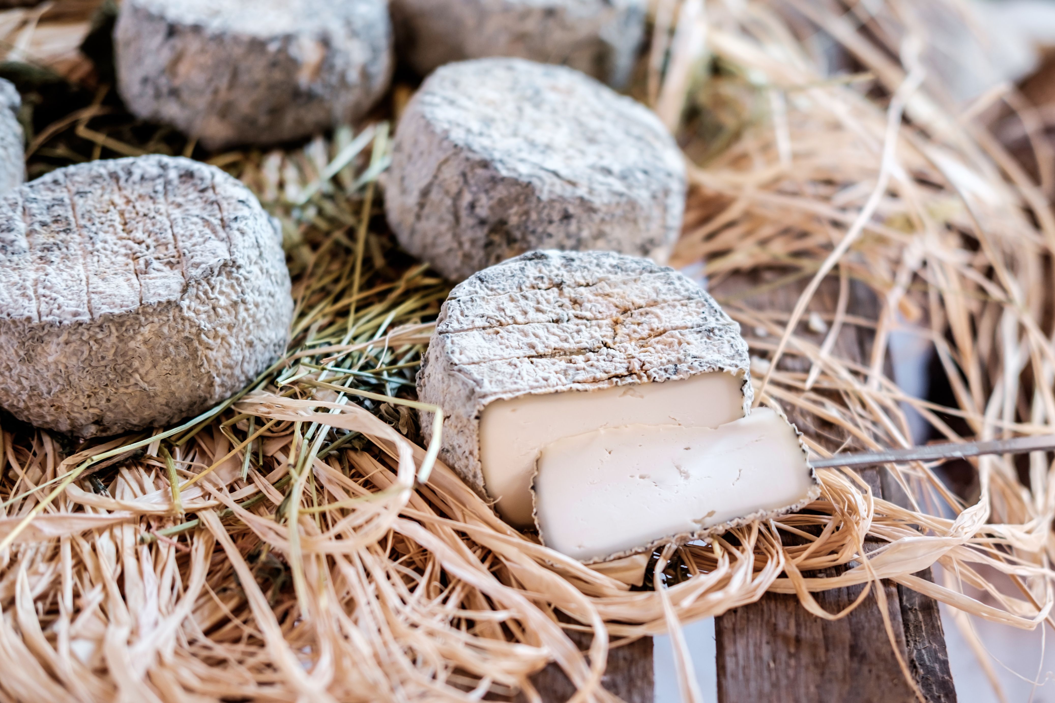 Con quale latte si fa il formaggio caprino? 