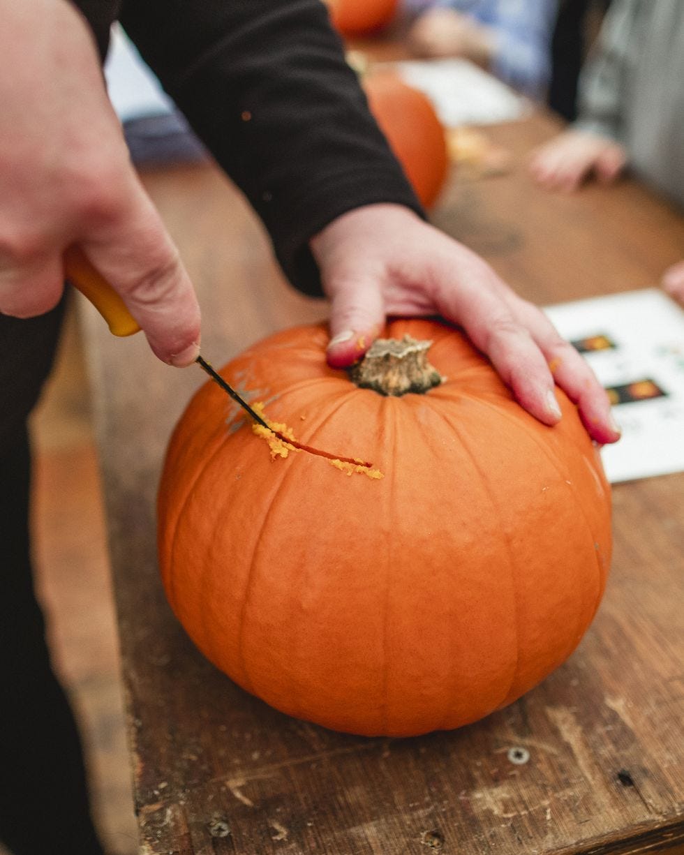 cutting into the pumpkin