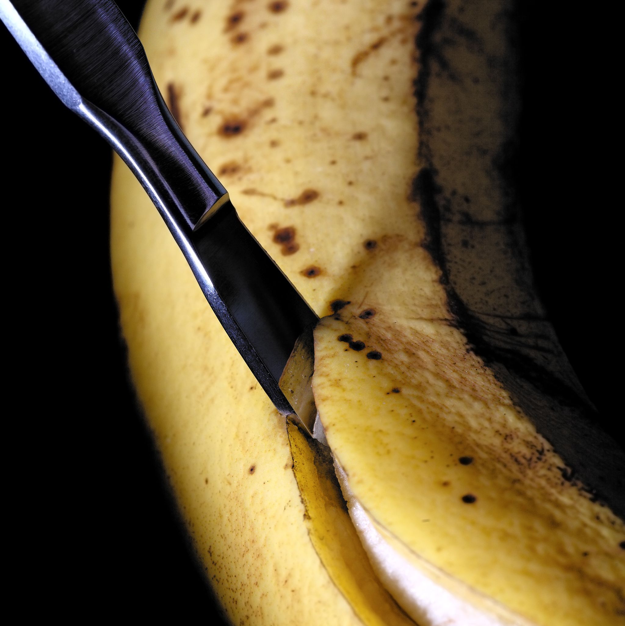 Cutting old banana with scalpel