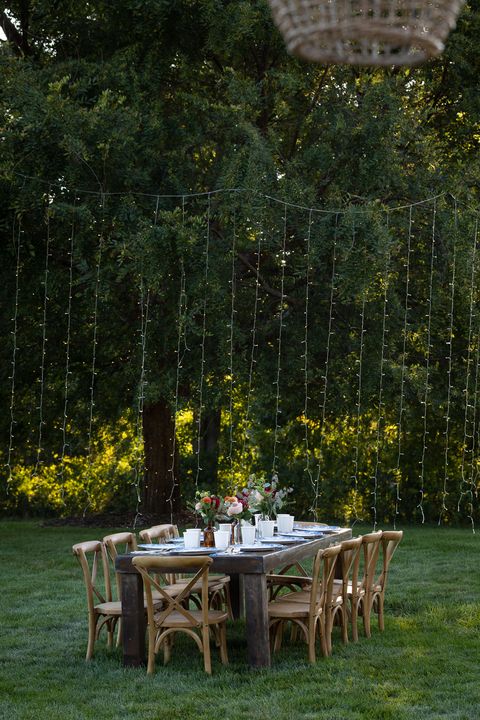 Table, Furniture, Tree, Garden, Botany, Lighting, Grass, Backyard, Outdoor table, Spring, 