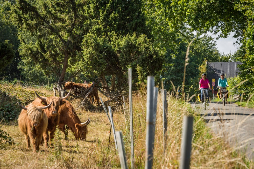 Fietsen door het landschap van Skne