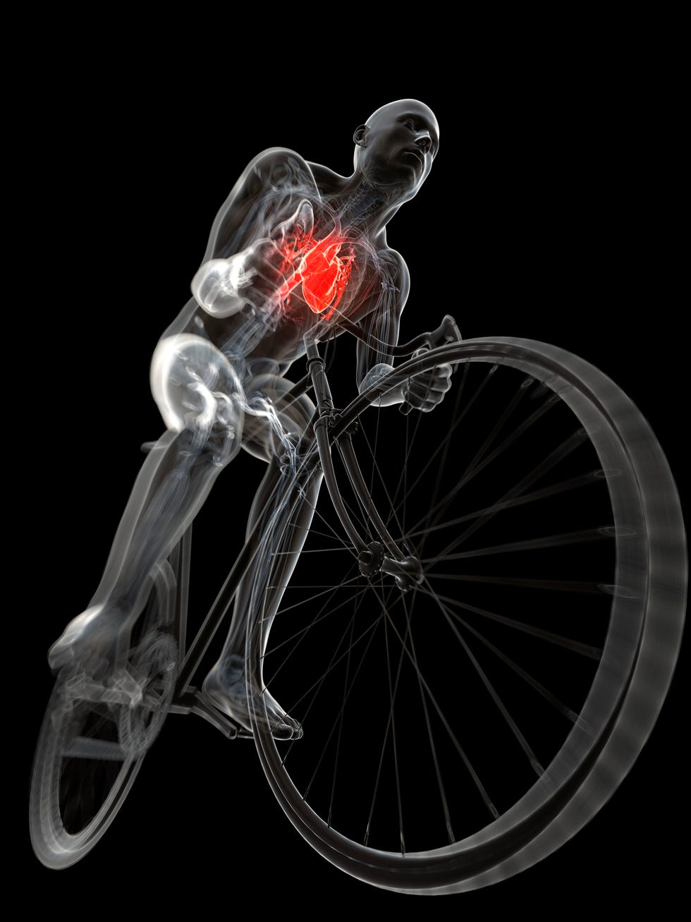 Cycling Every Day Results The Benefits of Riding Regularly