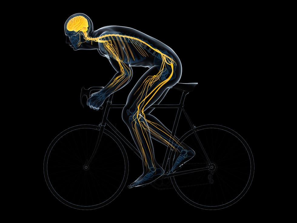 Cycling Every Day Results The Benefits of Riding Regularly