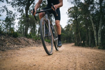 cyclist follows dirt road through forest area