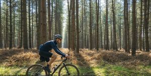 cyclist on a sunny forest trail