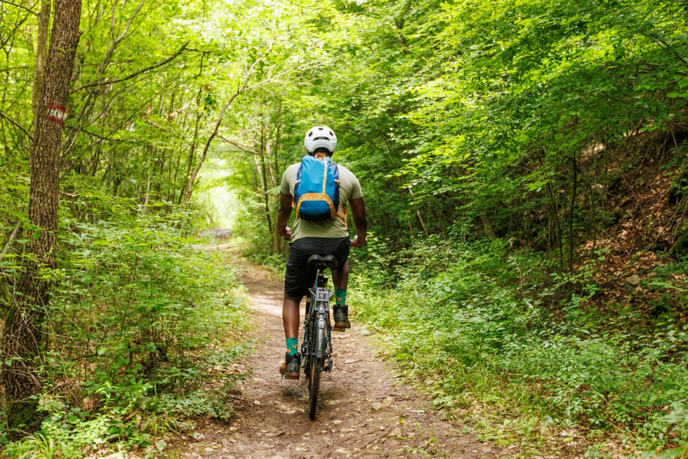 a cyclist rides a bicycle in a mountain forest