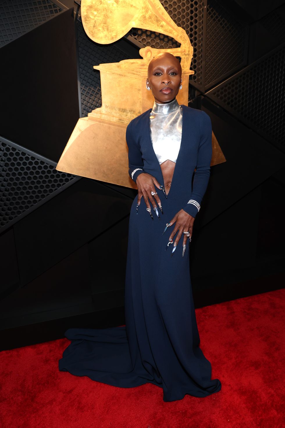 67th annual grammy awards red carpet