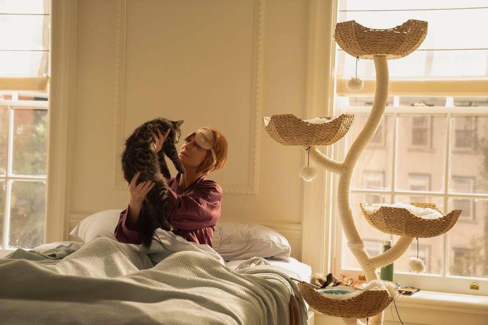 person holding a cat in a cozy bedroom