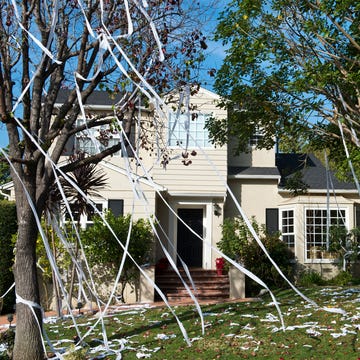 tp'd home